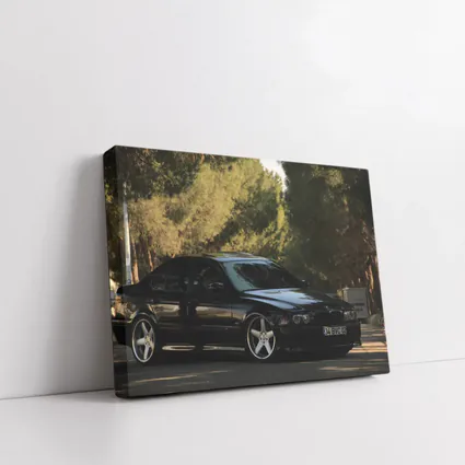 BMW M5 E39 Black Sedan Tree Background