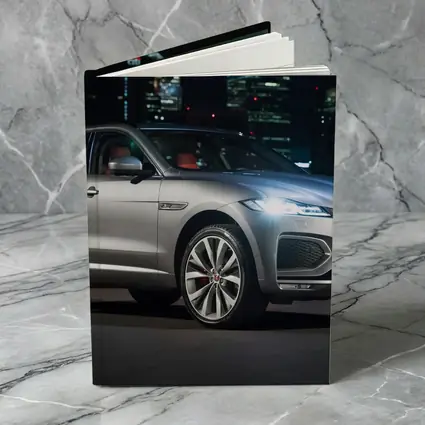 Jaguar F-Pace Silver SUV Night City