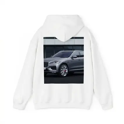 Jaguar F-Pace R-Dynamic Gray Urban Setting
