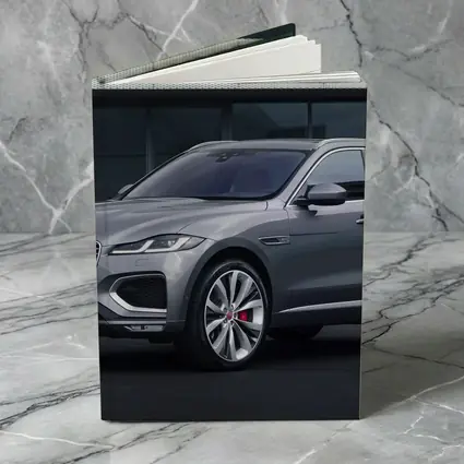 Jaguar F-Pace R-Dynamic Gray Urban Setting