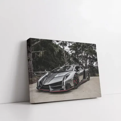 Lamborghini Veneno Gray Supercar Forest Road