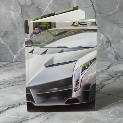 Lamborghini Veneno Silver Supercar Crowd Event