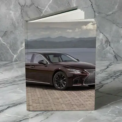 Lexus LS Luxury Sedan Lakeside Cloudy Day