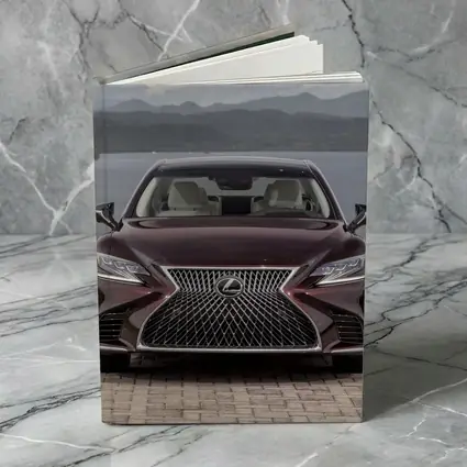 Lexus LS Front View Lake Mountains