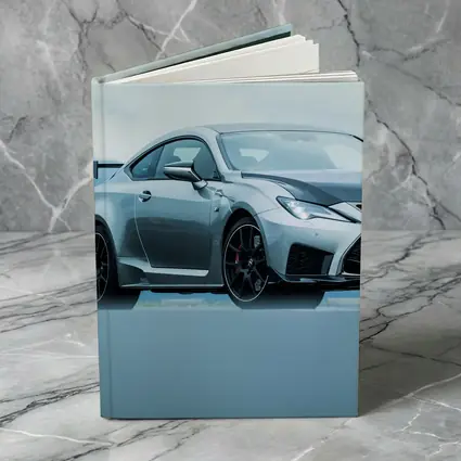 Lexus RC F Silver Coupe Mountain Background
