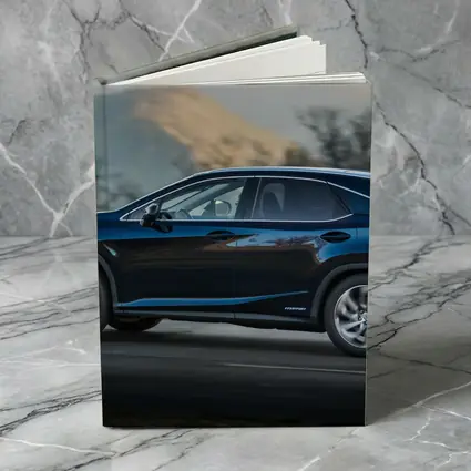 Lexus RX Dark Blue SUV Mountain Road