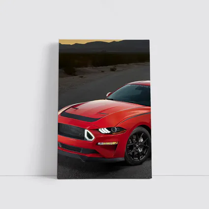 Ford Mustang Red Desert Road Scene
