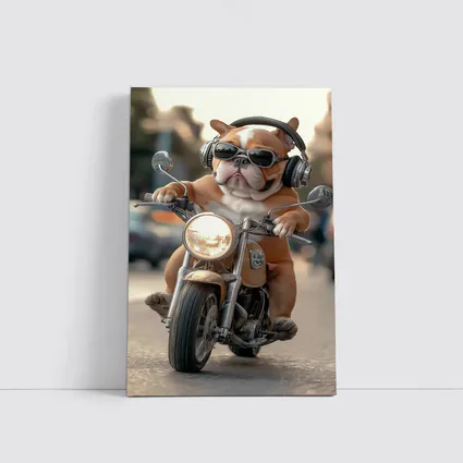 Bulldog Riding Motorcycle With Sunglasses Street
