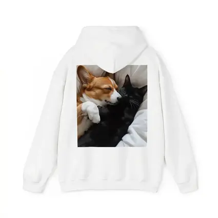 Corgi and Black Cat Cuddling on Bed