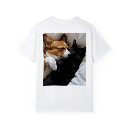 Corgi and Black Cat Cuddling on Bed