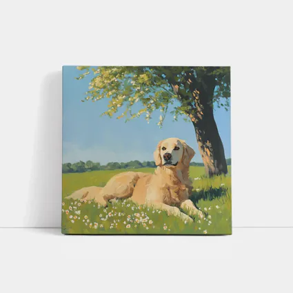 Golden Retriever Resting In Sunny Meadow