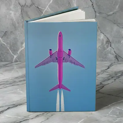 Pink Airplane Flying Against Blue Sky