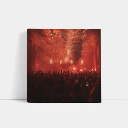 Red Concert Hall Crowd Confetti Celebration