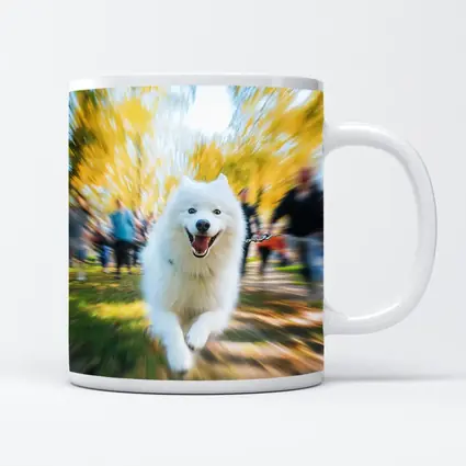 Samoyed Dog Running in Autumn Park