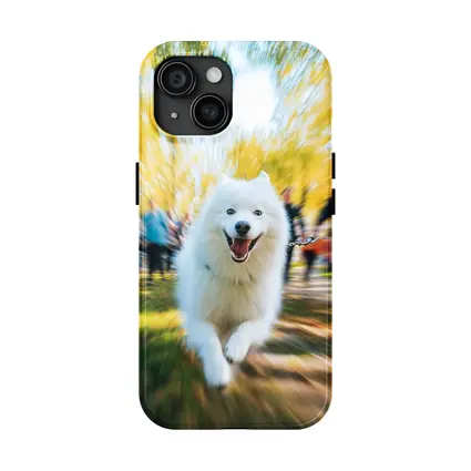 Samoyed Dog Running in Autumn Park