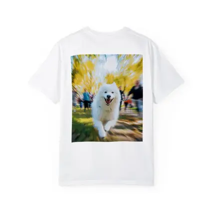 Samoyed Dog Running in Autumn Park