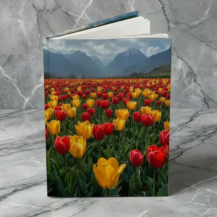 Red Yellow Tulips Field Mountain Background