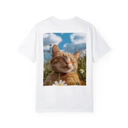 Orange Tabby Cat Resting In Daisy Field