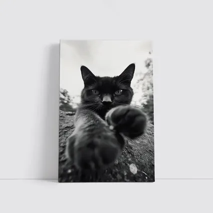 Black Cat Reaching Paw Toward Camera Outdoors