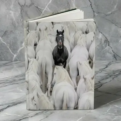Black Horse Standing Among White Horses