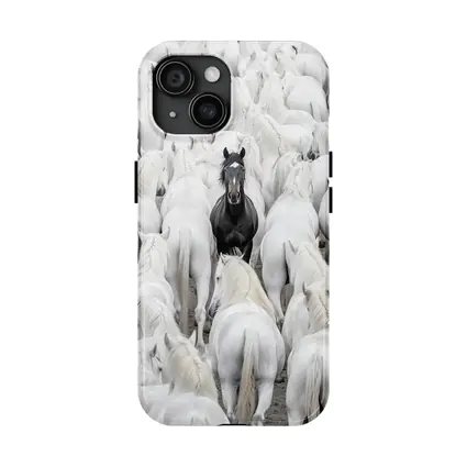 Black Horse Standing Among White Horses