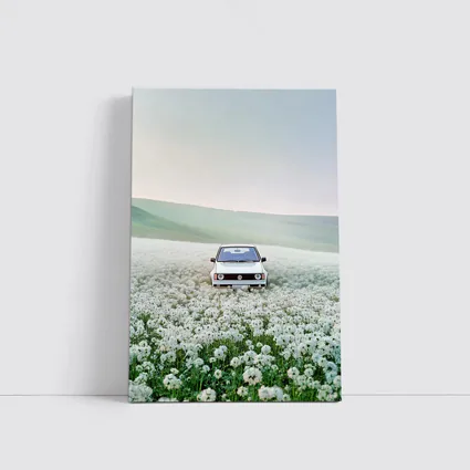 Volkswagen Golf White Flower Field Landscape