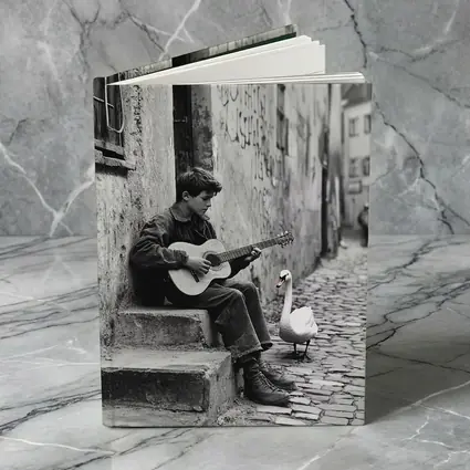 Boy Playing Guitar Cobblestone Alley Swan