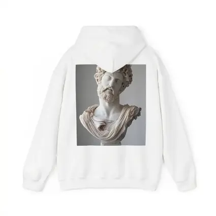 Marcus Aurelius Marble Bust Gray Background