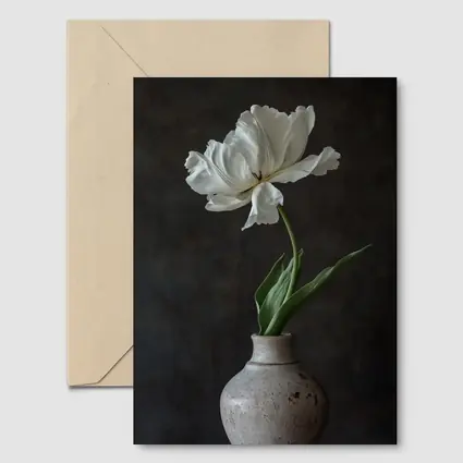 White Tulip In Rustic Ceramic Vase Dark