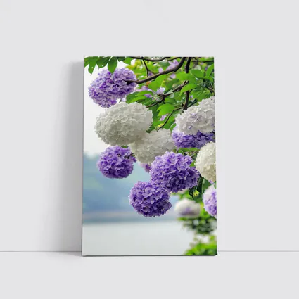 Purple White Hydrangea Blooms Over Lake