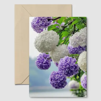 Purple White Hydrangea Blooms Over Lake