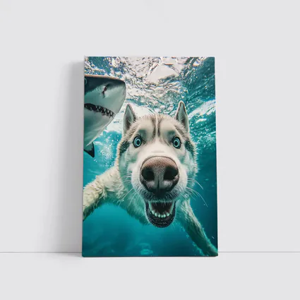 Siberian Husky Selfie Underwater With Shark