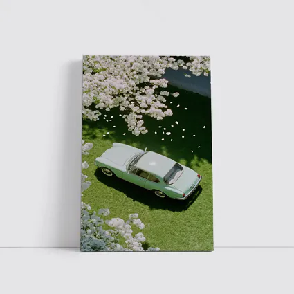 Mint Classic Car Parked Under Blooming Trees