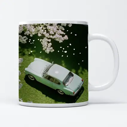 Mint Classic Car Parked Under Blooming Trees