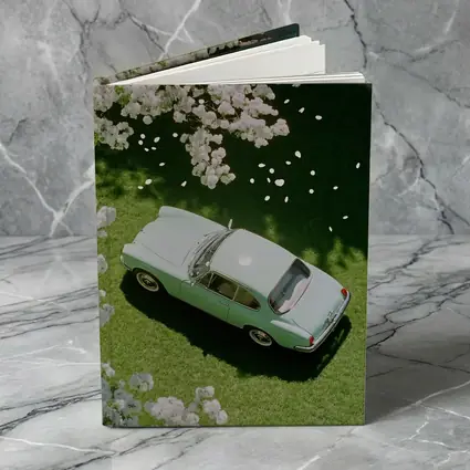 Mint Classic Car Parked Under Blooming Trees