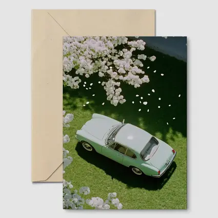 Mint Classic Car Parked Under Blooming Trees