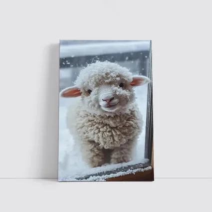 Fluffy White Lamb Standing In Winter Snow