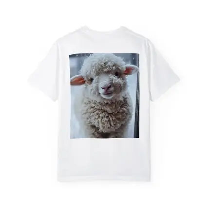 Fluffy White Lamb Standing In Winter Snow