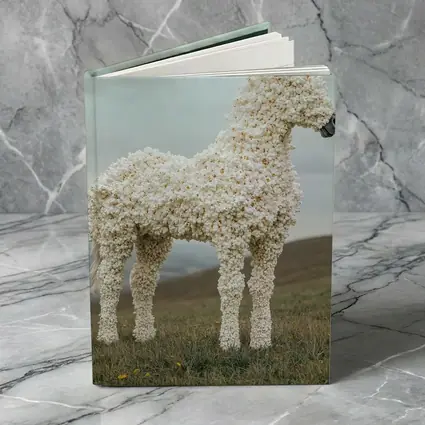 Popcorn Horse Sculpture Standing On Green Hills