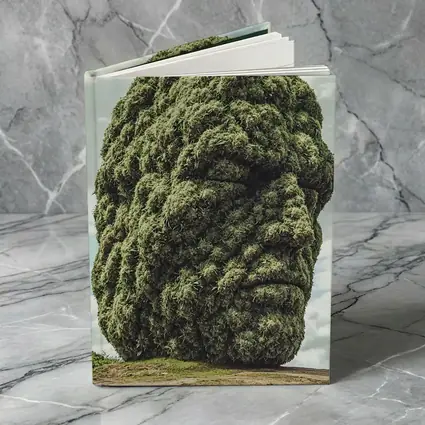 Giant Green Face Sculpture Sky Background