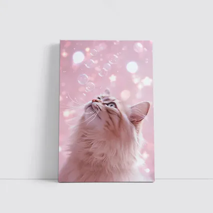 Fluffy Cat Looking Up At Bubbles
