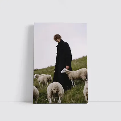 Young Man Black Coat Sheep Green Field
