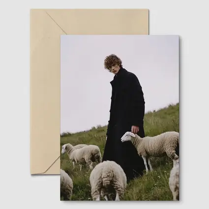 Young Man Black Coat Sheep Green Field