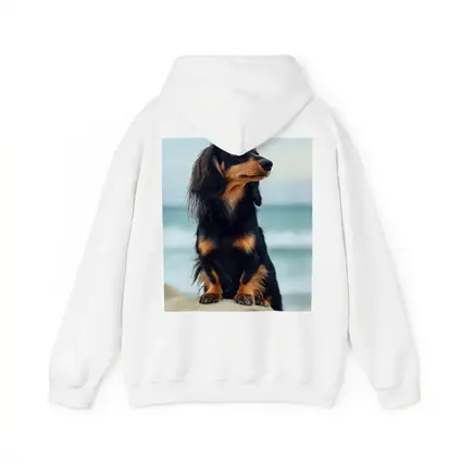 Long Haired Dachshund Sitting By Ocean