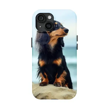 Long Haired Dachshund Sitting By Ocean