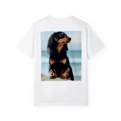 Long Haired Dachshund Sitting By Ocean