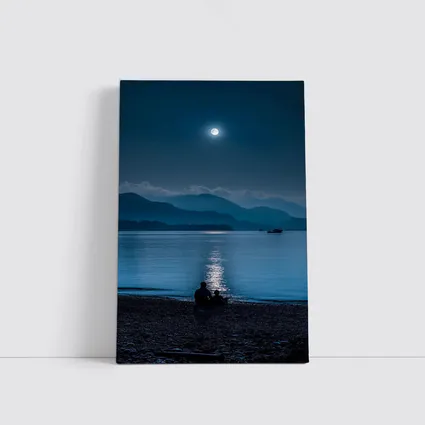 Moonlit Lake Shore Silhouette Mountain Night