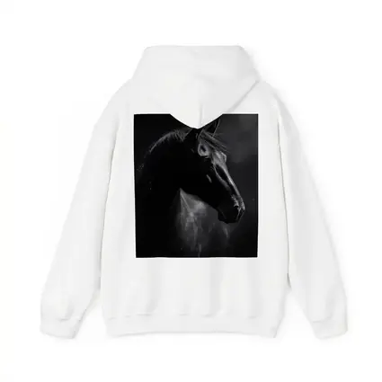 Black Horse Portrait Dark Smoky Background