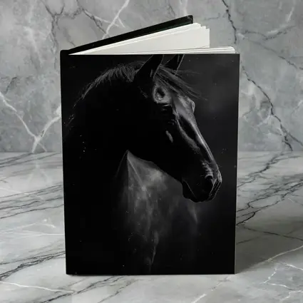 Black Horse Portrait Dark Smoky Background