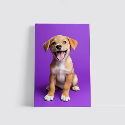 Happy Puppy Dog On Purple Background